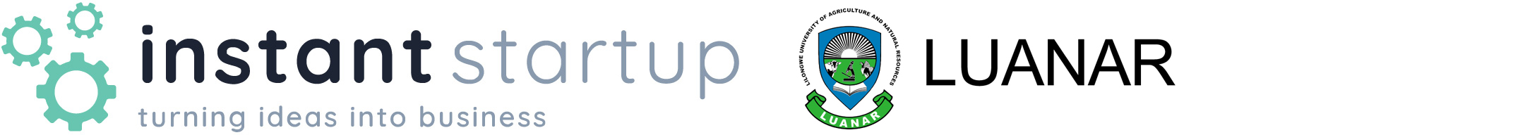 Instant Startup | LUANAR